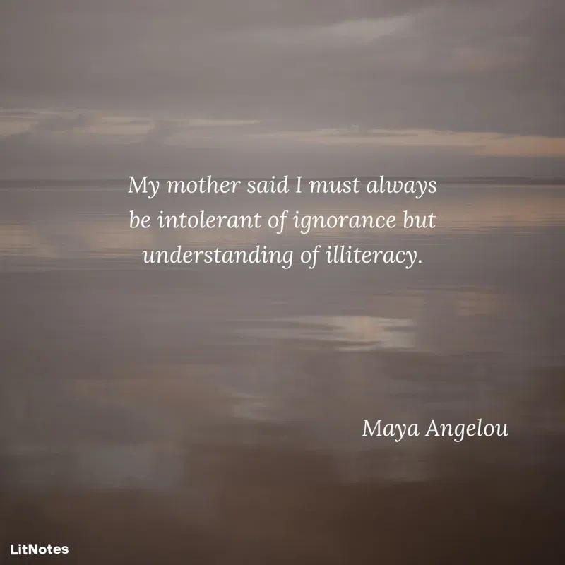 My mother said I must always be intolerant of ignorance but understanding of illiteracy.